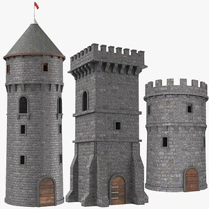 3D model real castle towers