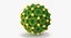 13 virus