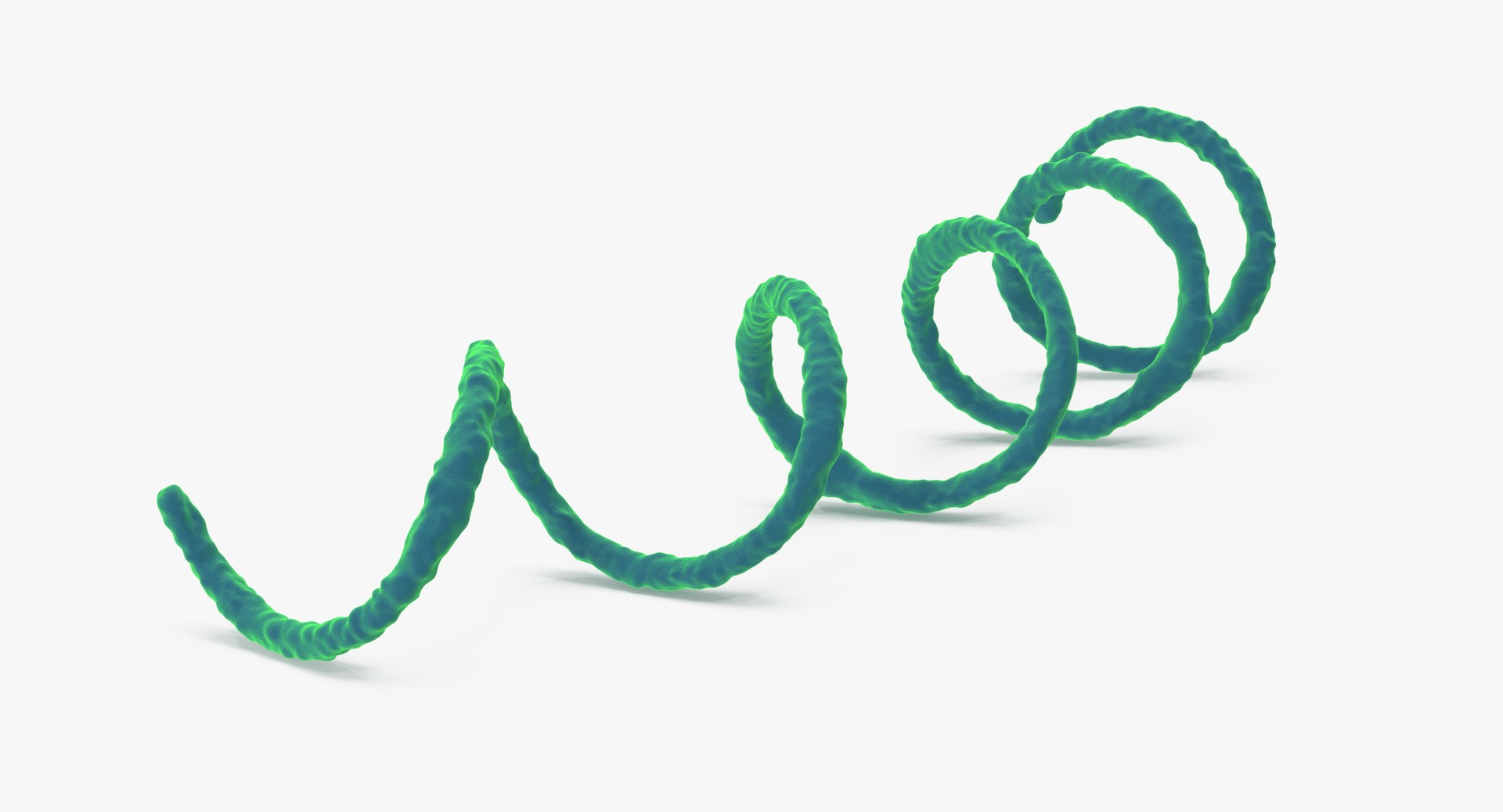 13 viruses virus 3d model https://p.turbosquid.com/ts-thumb/nY/LqPCRs/2nhB3KY1/syphilis_001_thumbnail_0003/jpg/1473431093/1920x1080/fit_q87/4249a6aef9f5c4d211af4838df8aa513ed7fb188/syphilis_001_thumbnail_0003.jpg