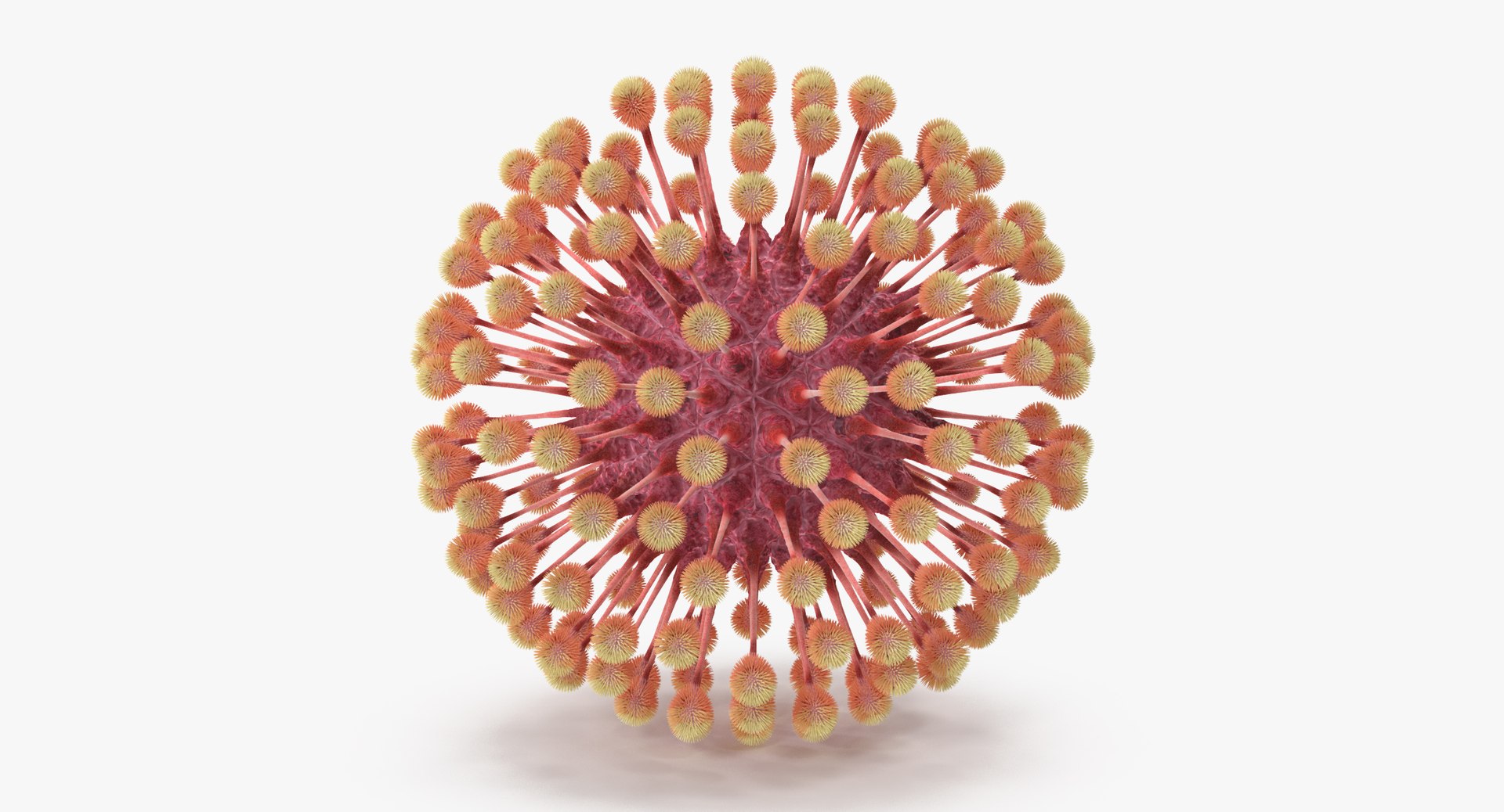 13 viruses virus 3d model https://p.turbosquid.com/ts-thumb/nY/LqPCRs/6Cp7op9V/herpes_virus_001_thumbnail_0001/jpg/1473430282/1920x1080/fit_q87/6c413ad4ac0cfd3d8b808d5ba3239d797720e9de/herpes_virus_001_thumbnail_0001.jpg