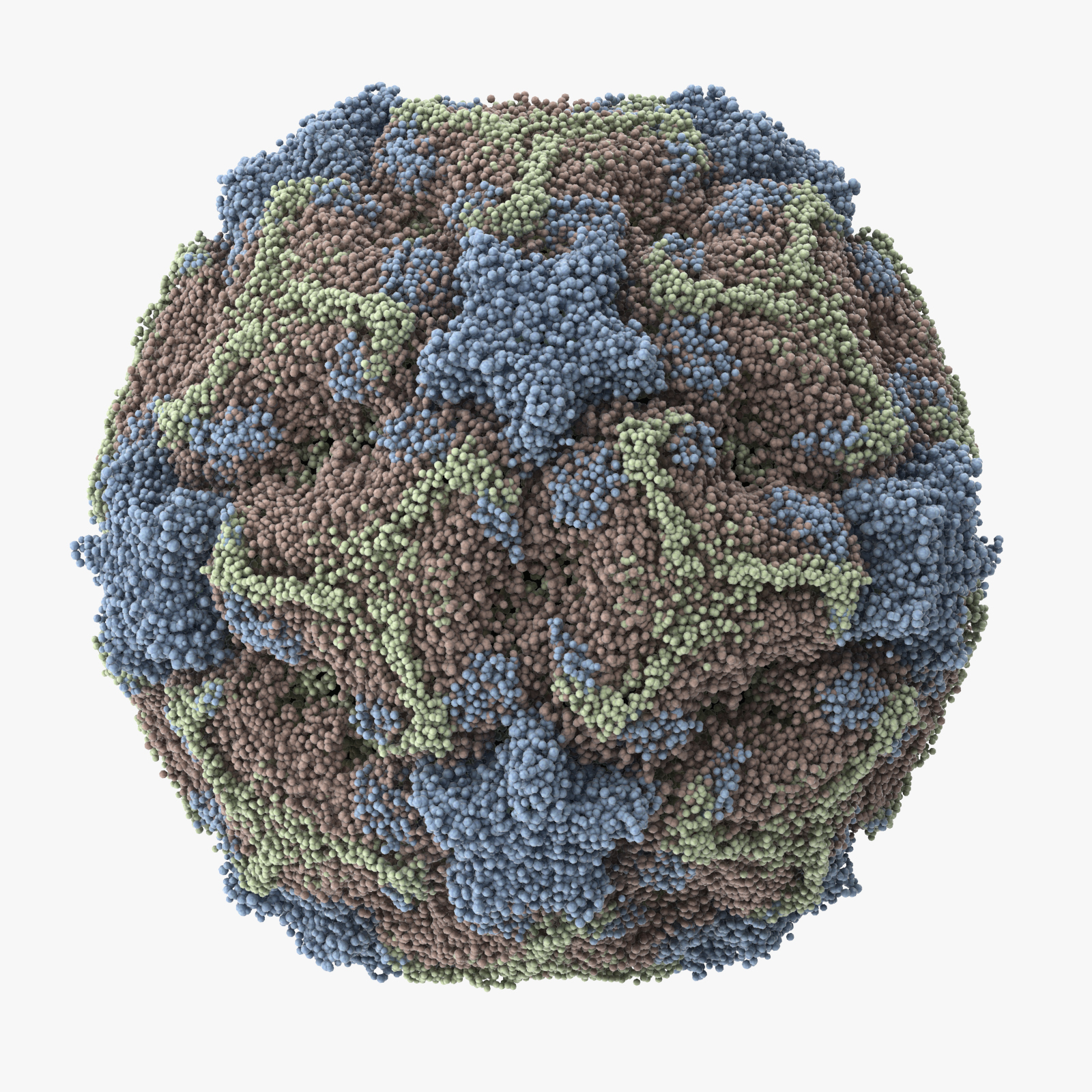 13 viruses virus 3d model