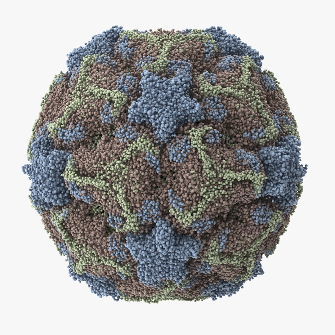 13 viruses virus 3d model https://p.turbosquid.com/ts-thumb/nY/LqPCRs/8w9vazx4/cold_virus_002_thumbnail_square0000/jpg/1473430688/1920x1080/fit_q87/90e02f532d1112ef9e774ac5c541c8683723d584/cold_virus_002_thumbnail_square0000.jpg