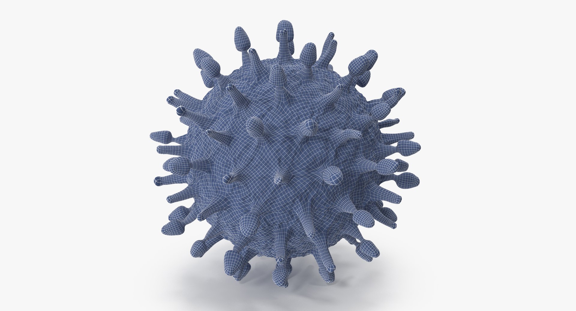 13 viruses virus 3d model https://p.turbosquid.com/ts-thumb/nY/LqPCRs/AEKB4Crc/h1n1_virus_001_wireframe_0003/jpg/1473428079/1920x1080/fit_q87/afa6a118e8e47b1a03115ff9873d9ff8664af478/h1n1_virus_001_wireframe_0003.jpg