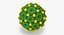 13 virus