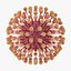 13 virus