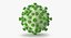 13 virus