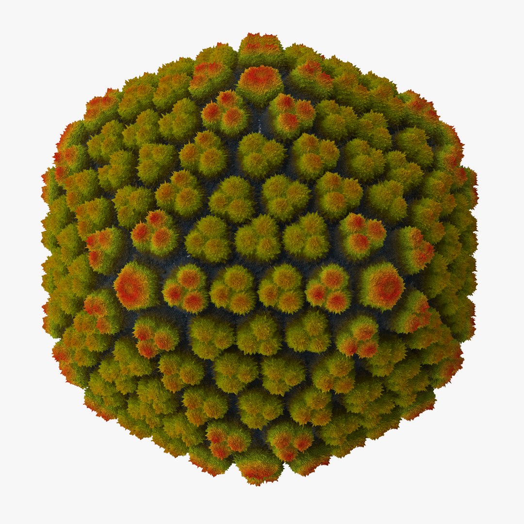 13 viruses virus 3d model https://p.turbosquid.com/ts-thumb/nY/LqPCRs/FZ2DyvZt/adenovirus_001_thumbnail_square0000/jpg/1473432398/1920x1080/fit_q87/fe641a03a4a34ffe667ee761d882acefe5f07c07/adenovirus_001_thumbnail_square0000.jpg