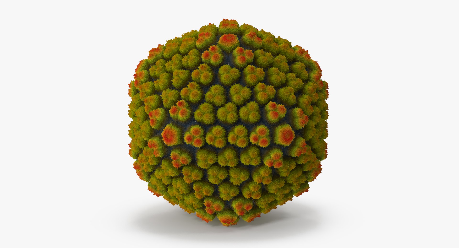 13 viruses virus 3d model https://p.turbosquid.com/ts-thumb/nY/LqPCRs/G3IuZ33Z/adenovirus_001_thumbnail_0001/jpg/1473432397/1920x1080/fit_q87/d5aa22ac2f4ef50446a0a5821a21c63eae86da68/adenovirus_001_thumbnail_0001.jpg