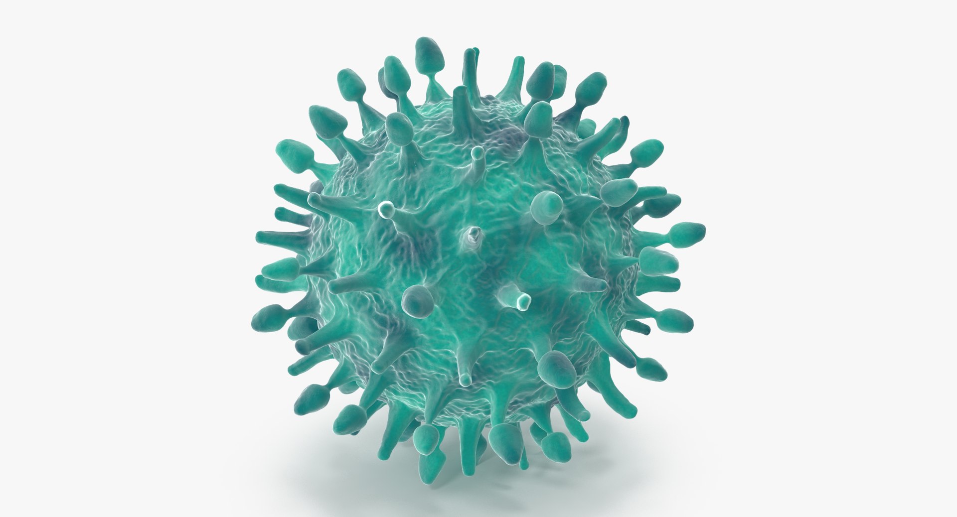 13 viruses virus 3d model https://p.turbosquid.com/ts-thumb/nY/LqPCRs/Hagvmu0i/h1n1_virus_001_thumbnail_0004/jpg/1473428079/1920x1080/fit_q87/dfbb5028f17834eec464a5fcf8df545779401954/h1n1_virus_001_thumbnail_0004.jpg