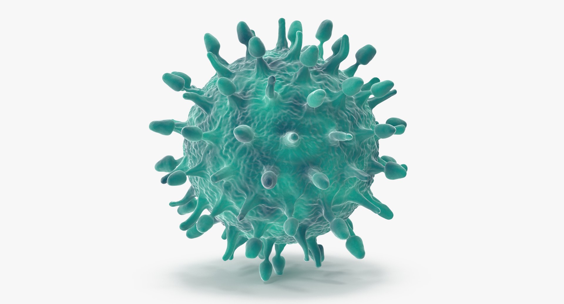 13 viruses virus 3d model https://p.turbosquid.com/ts-thumb/nY/LqPCRs/JhddbSHy/h1n1_virus_001_thumbnail_0001/jpg/1473428079/1920x1080/fit_q87/4a347b39b5687e3e53d33dcc58d0a9513a845f77/h1n1_virus_001_thumbnail_0001.jpg