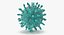 13 virus