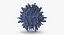 13 virus