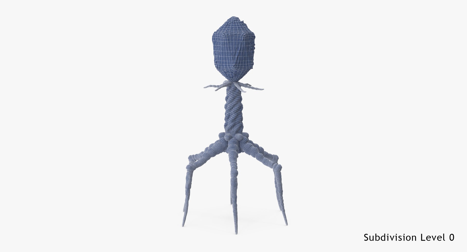 13 viruses virus 3d model https://p.turbosquid.com/ts-thumb/nY/LqPCRs/KwKyYEyH/bacteriophage_001_wireframe_subdiv0/jpg/1456734337/1920x1080/fit_q87/6132f7c20632e28af52ce53de976e56d63205b6b/bacteriophage_001_wireframe_subdiv0.jpg