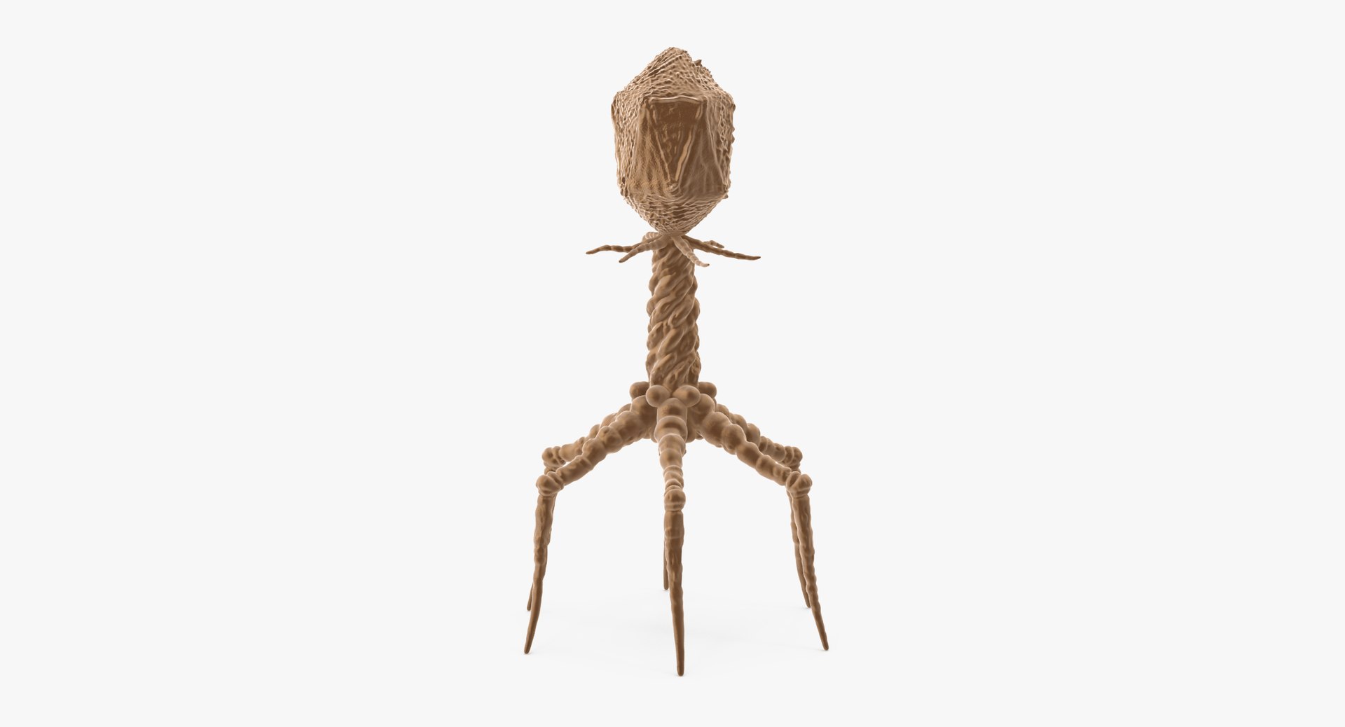 13 viruses virus 3d model https://p.turbosquid.com/ts-thumb/nY/LqPCRs/LNvgE6DM/bacteriophage_001_thumbnail_0001/jpg/1456734336/1920x1080/fit_q87/9f021361c7c06ce38af161cb12ea4647665277a3/bacteriophage_001_thumbnail_0001.jpg