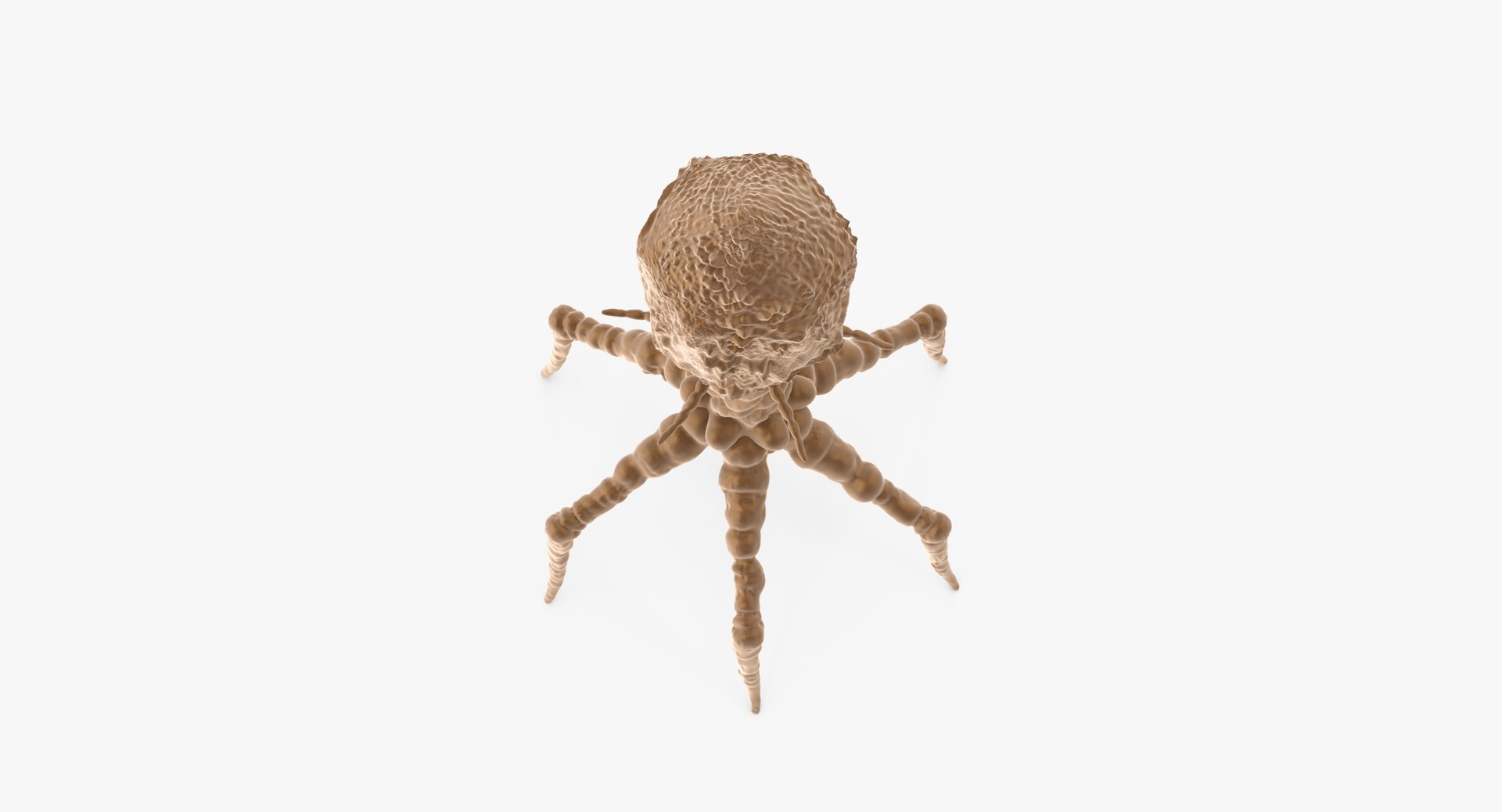 13 viruses virus 3d model https://p.turbosquid.com/ts-thumb/nY/LqPCRs/LiyEY4vR/bacteriophage_001_thumbnail_0008/jpg/1456734336/1920x1080/fit_q87/0bca00653957dfa77e1e7917cb3b4ac274ed0e21/bacteriophage_001_thumbnail_0008.jpg