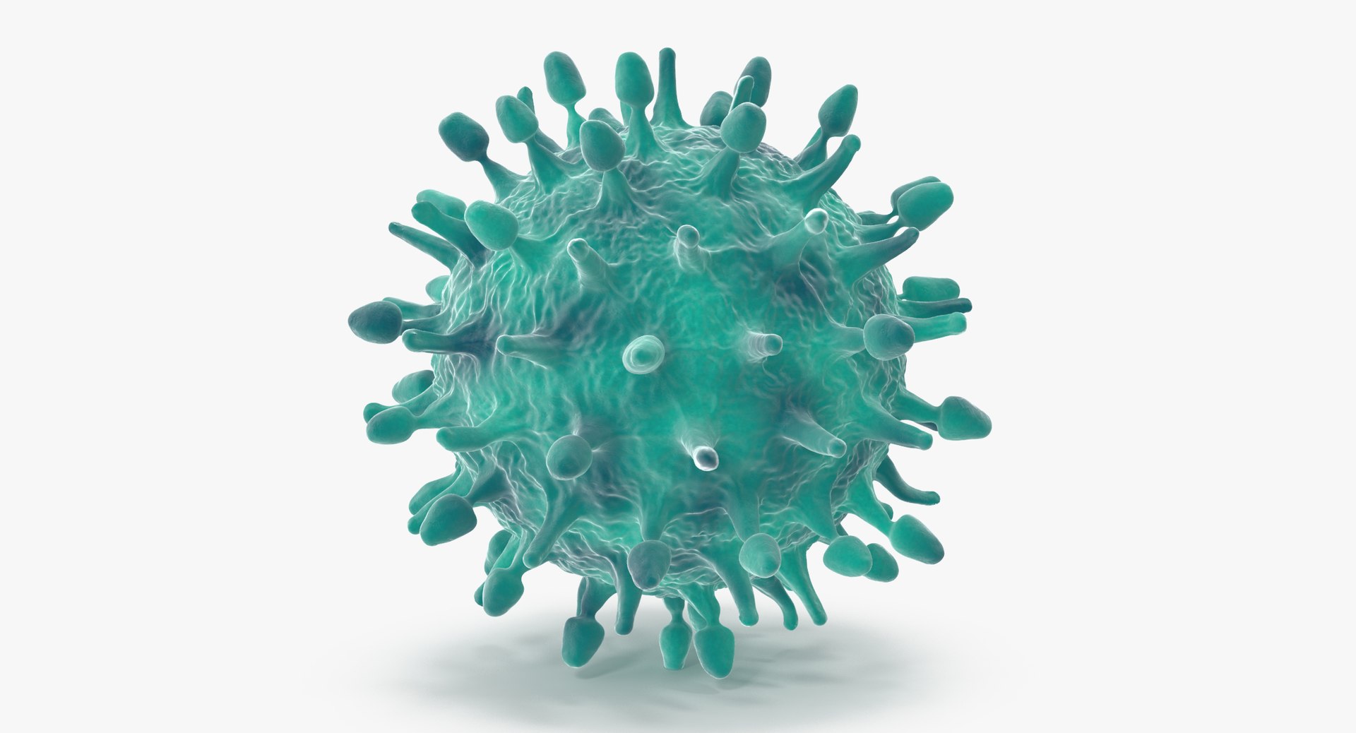 13 viruses virus 3d model https://p.turbosquid.com/ts-thumb/nY/LqPCRs/MEVXYbXv/h1n1_virus_001_thumbnail_0006/jpg/1473428079/1920x1080/fit_q87/0942adfd9e9e32eecd1ef4611130642338228a24/h1n1_virus_001_thumbnail_0006.jpg