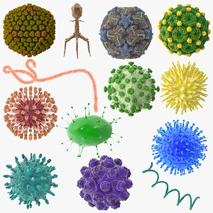 13 viruses virus 3d model