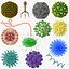 13 virus