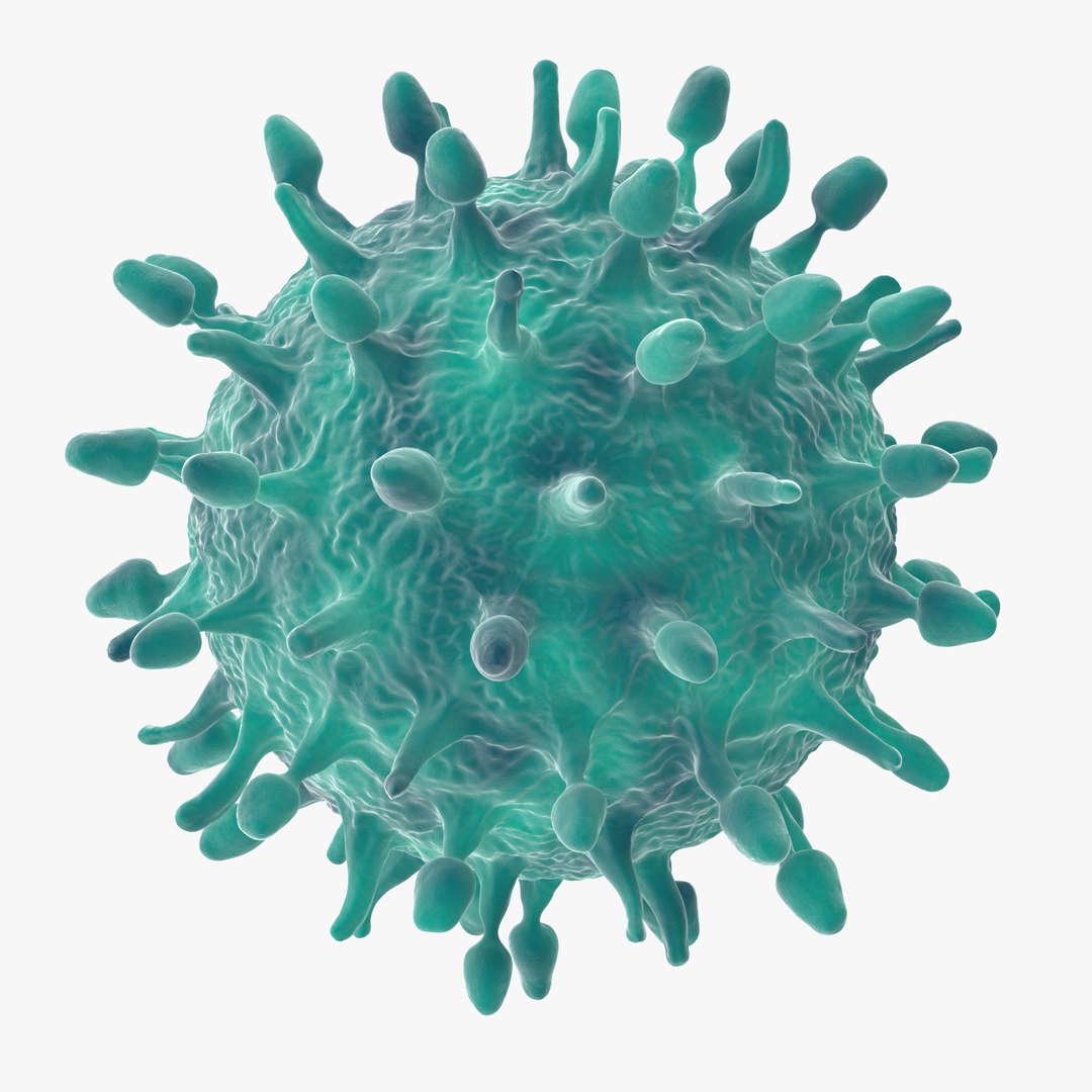 13 viruses virus 3d model https://p.turbosquid.com/ts-thumb/nY/LqPCRs/MimJxVeS/h1n1_virus_001_thumbnail_square0000/jpg/1473428079/1920x1080/fit_q87/1250a4933ba90d1b36033fe311bc6651c7b6def0/h1n1_virus_001_thumbnail_square0000.jpg