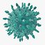 13 virus