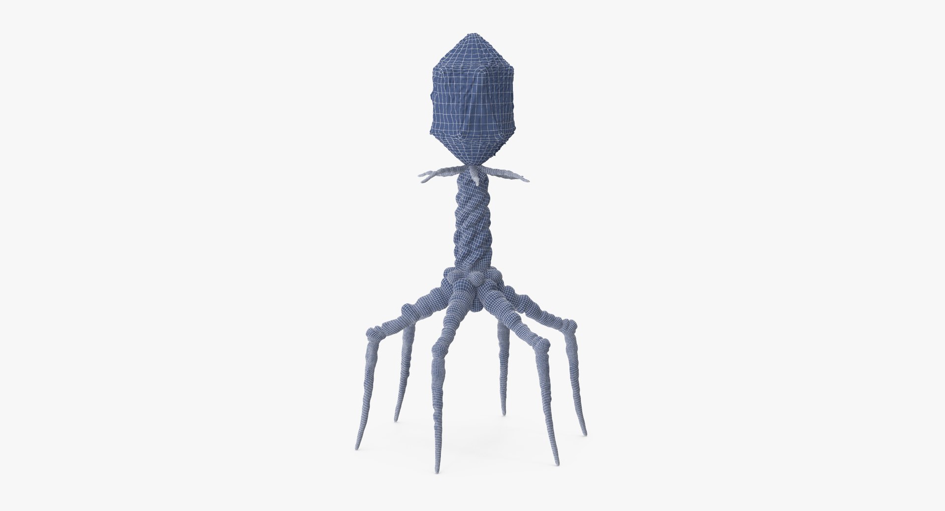 13 viruses virus 3d model https://p.turbosquid.com/ts-thumb/nY/LqPCRs/NhgGbCYA/bacteriophage_001_wireframe_0003/jpg/1456734337/1920x1080/fit_q87/510582e6794c14dd2cf2e287aba620eeeab84335/bacteriophage_001_wireframe_0003.jpg