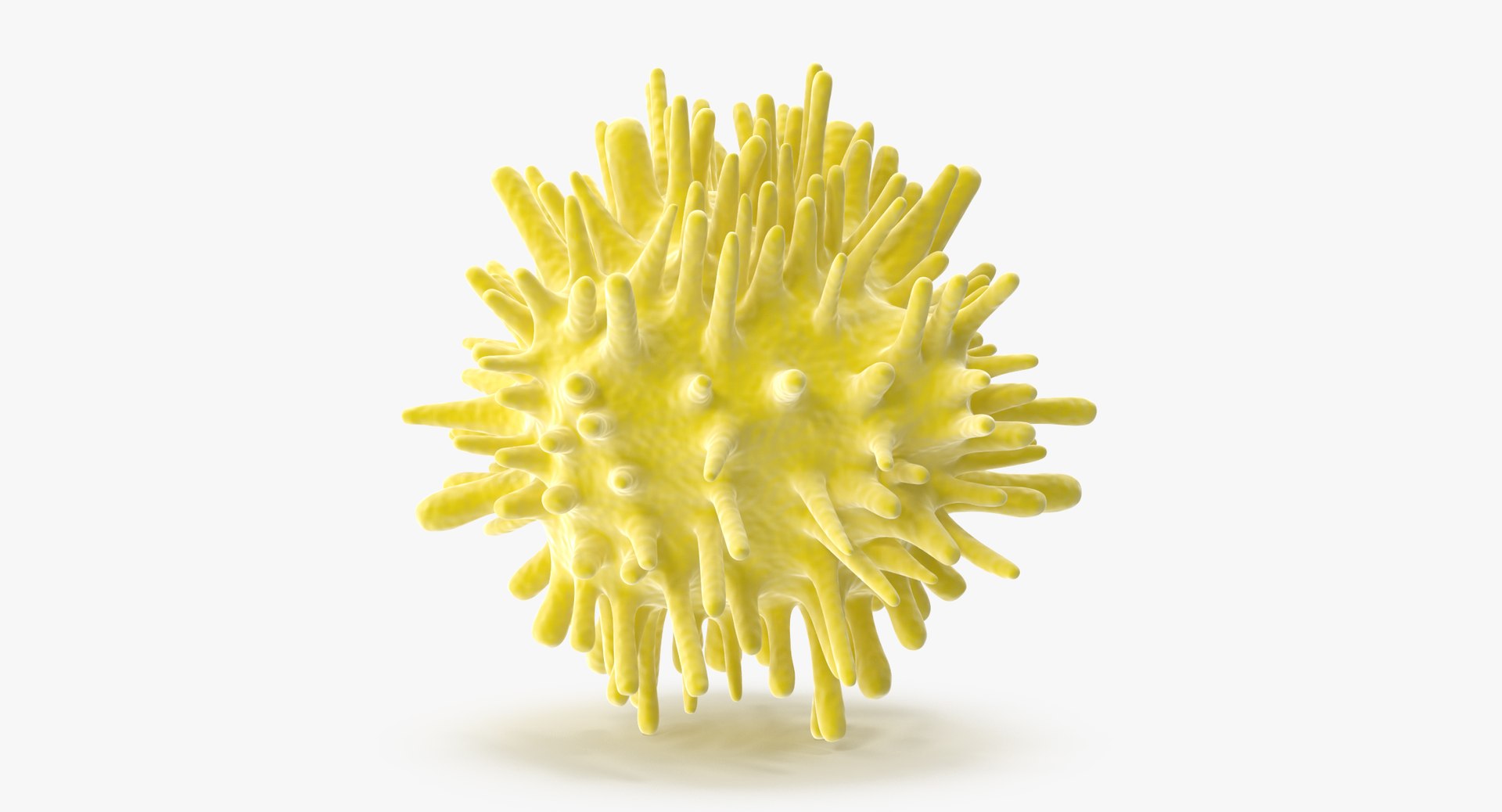13 viruses virus 3d model https://p.turbosquid.com/ts-thumb/nY/LqPCRs/PPqSnn62/hepatitis_c_001_thumbnail_0003/jpg/1473429296/1920x1080/fit_q87/30d530b65cc4d51a9938ac21050884a408f10ee4/hepatitis_c_001_thumbnail_0003.jpg