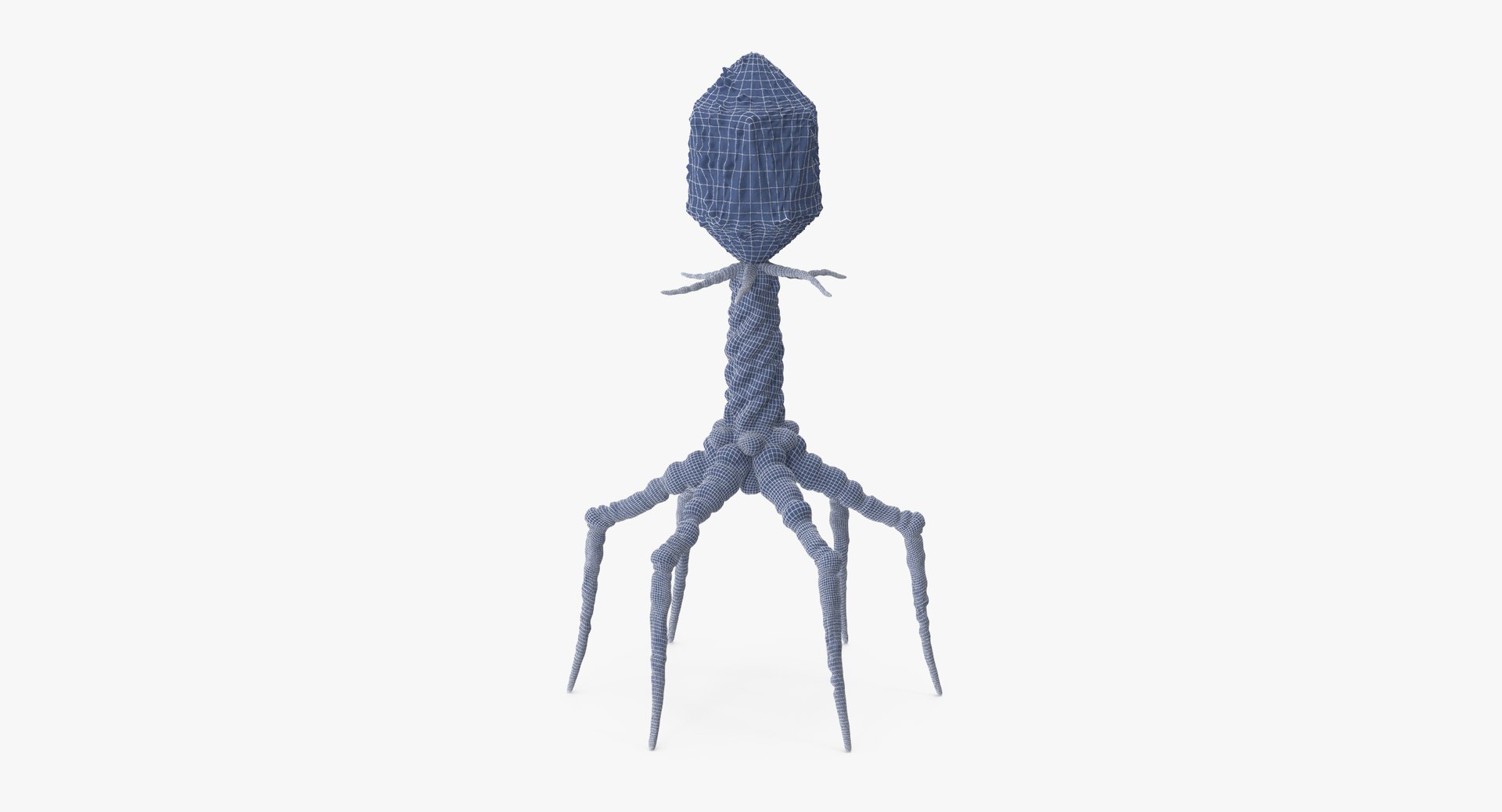 13 viruses virus 3d model https://p.turbosquid.com/ts-thumb/nY/LqPCRs/QoMfggfY/bacteriophage_001_wireframe_0006/jpg/1456734337/1920x1080/fit_q87/75abae22e14347eb959956bf25bd00f0ab18478c/bacteriophage_001_wireframe_0006.jpg