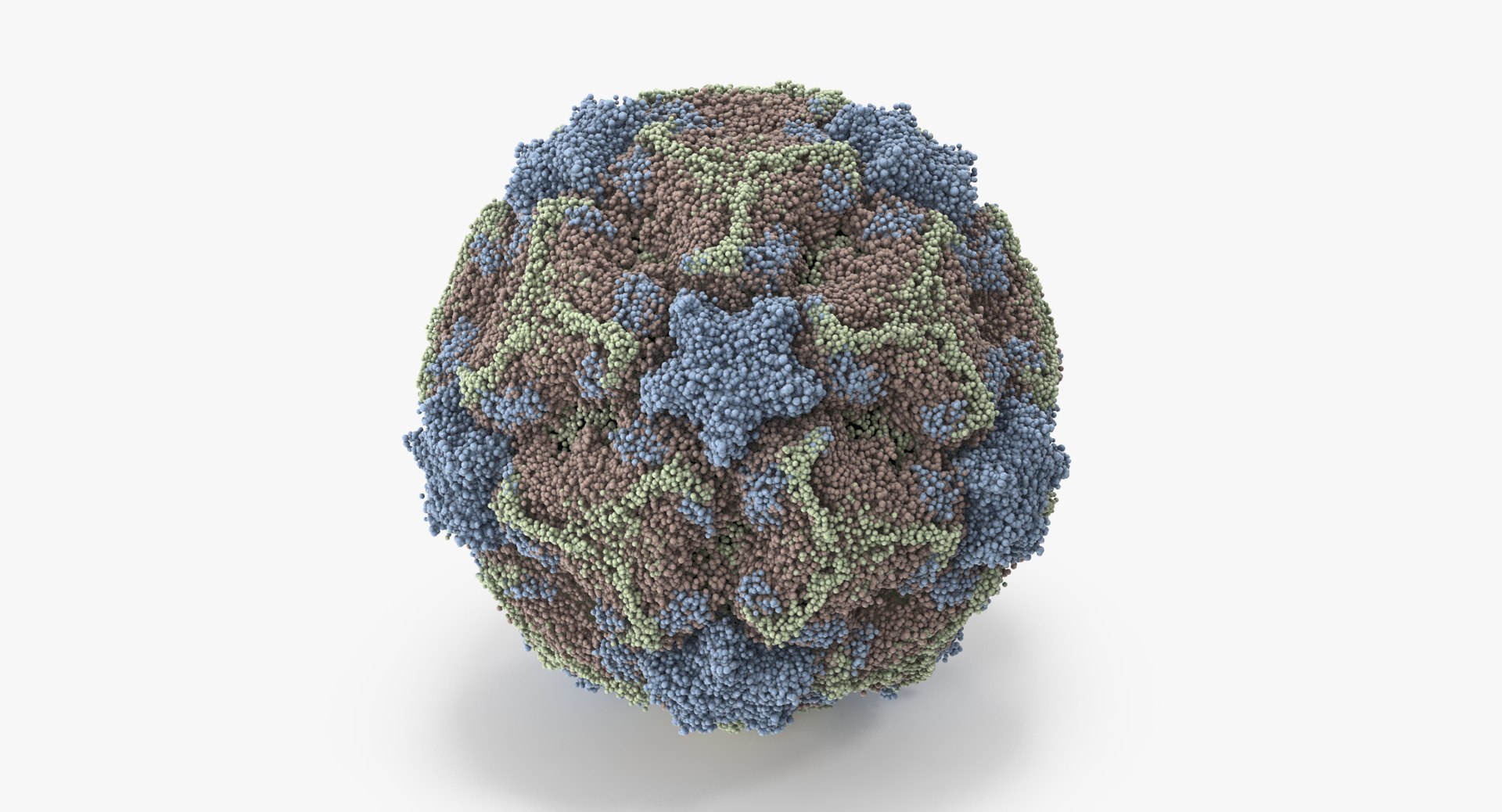 13 viruses virus 3d model https://p.turbosquid.com/ts-thumb/nY/LqPCRs/RCFoXDZd/cold_virus_002_thumbnail_0006/jpg/1473430688/1920x1080/fit_q87/9d9a3465ef773c669744d627855219f976c2e3e3/cold_virus_002_thumbnail_0006.jpg
