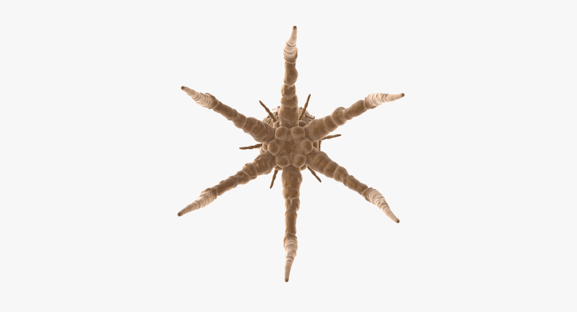 13 viruses virus 3d model https://p.turbosquid.com/ts-thumb/nY/LqPCRs/TbeUAQ9L/bacteriophage_001_thumbnail_0009/jpg/1456734337/1920x1080/fit_q87/ef973273f86d74383b191209820fab44dbd2ccba/bacteriophage_001_thumbnail_0009.jpg