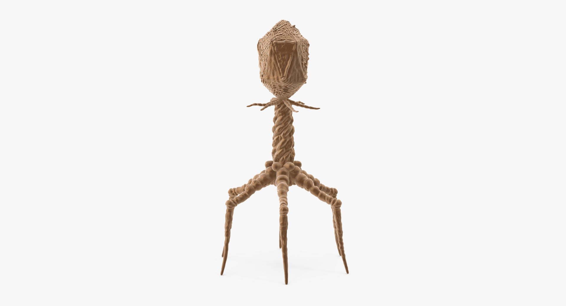 13 viruses virus 3d model https://p.turbosquid.com/ts-thumb/nY/LqPCRs/UqVKAp2v/0000/jpg/1456734565/1920x1080/turn_fit_q99/e0b5f6dca158ab77b280f94b86ee0418c95c350d/0000-1.jpg