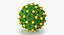 13 virus