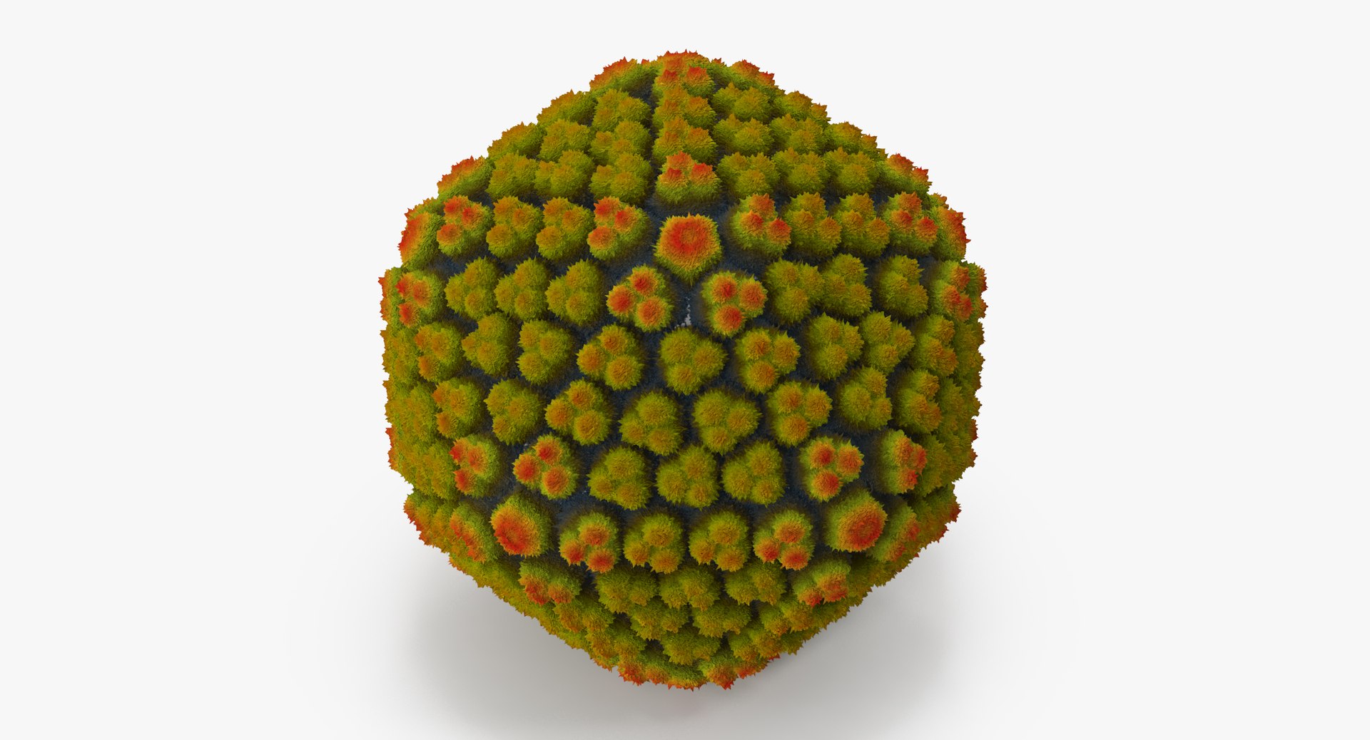 13 viruses virus 3d model https://p.turbosquid.com/ts-thumb/nY/LqPCRs/Wr0uv1t2/adenovirus_001_thumbnail_0007/jpg/1473432398/1920x1080/fit_q87/b2ae867c83f1515ea22a3f8cf03c0bfc56477742/adenovirus_001_thumbnail_0007.jpg
