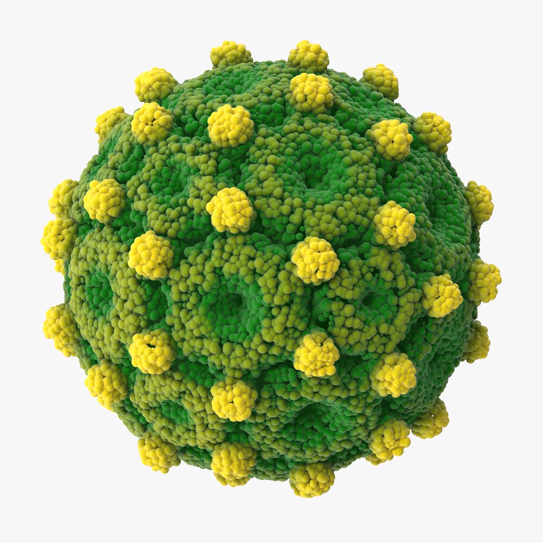 13 viruses virus 3d model https://p.turbosquid.com/ts-thumb/nY/LqPCRs/WxamseAP/hepatitis_b_001_thumbnail_square0000/jpg/1473428914/1920x1080/fit_q87/f1f07a6aa994ba847da282b75724848b3237a755/hepatitis_b_001_thumbnail_square0000.jpg