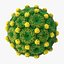 13 virus