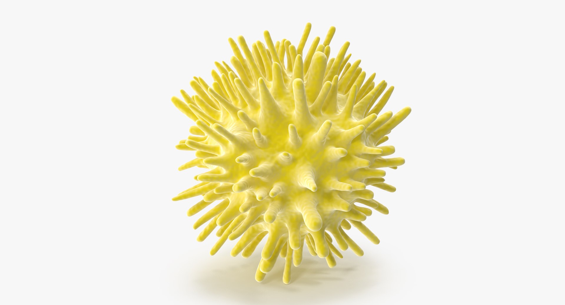 13 viruses virus 3d model https://p.turbosquid.com/ts-thumb/nY/LqPCRs/Y0SDj62E/hepatitis_c_001_thumbnail_0006/jpg/1473429296/1920x1080/fit_q87/6878b936804f4655652161892c82cc0eda5292fc/hepatitis_c_001_thumbnail_0006.jpg