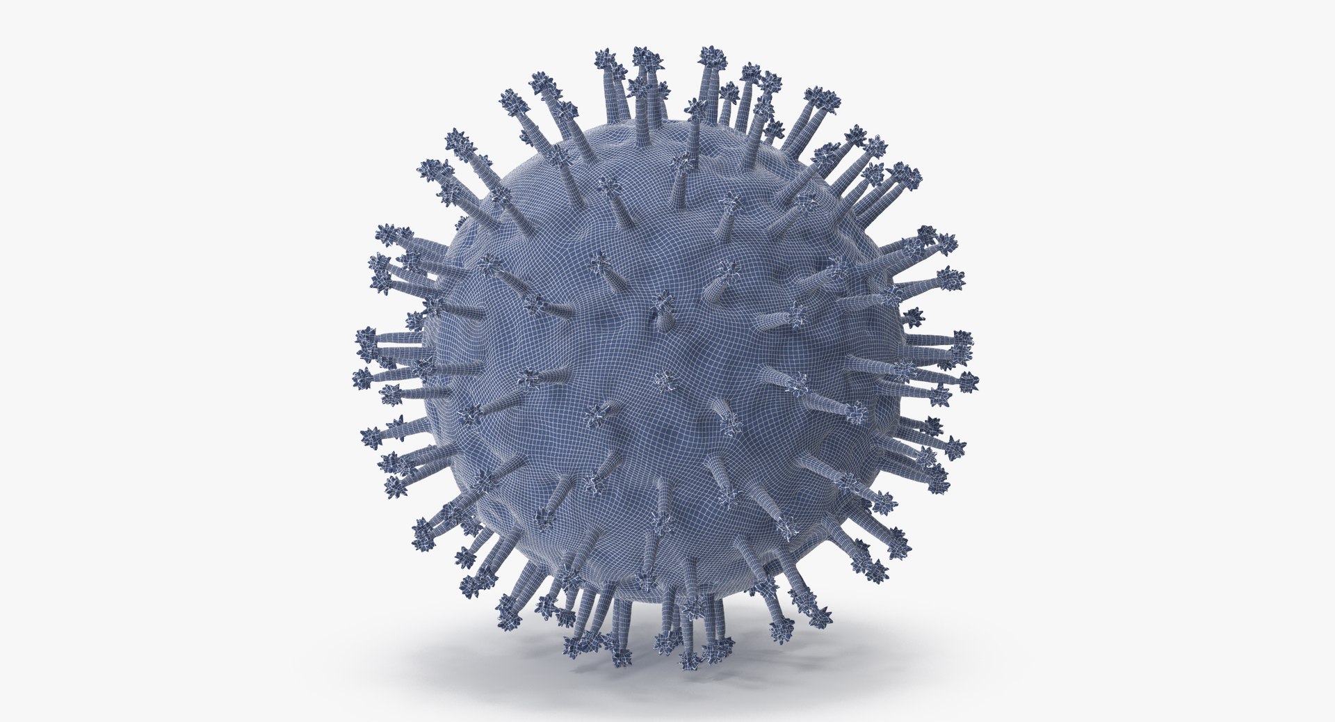 13 viruses virus 3d model https://p.turbosquid.com/ts-thumb/nY/LqPCRs/Y8iwhN95/influenza_001_wireframe0003/jpg/1473429691/1920x1080/fit_q87/1405985bb60ff0bdad9a34f0dd16e6e9449b45fc/influenza_001_wireframe0003.jpg