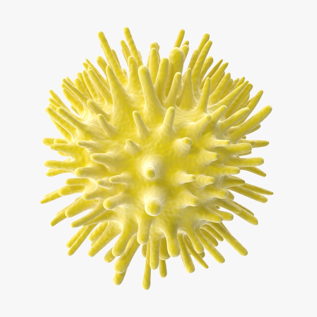 13 viruses virus 3d model https://p.turbosquid.com/ts-thumb/nY/LqPCRs/aSYKwM1U/hepatitis_c_001_thumbnail_square0000/jpg/1473429296/1920x1080/fit_q87/bc4d93ee00b26d7cfec7a2202b9d93b4780ce971/hepatitis_c_001_thumbnail_square0000.jpg