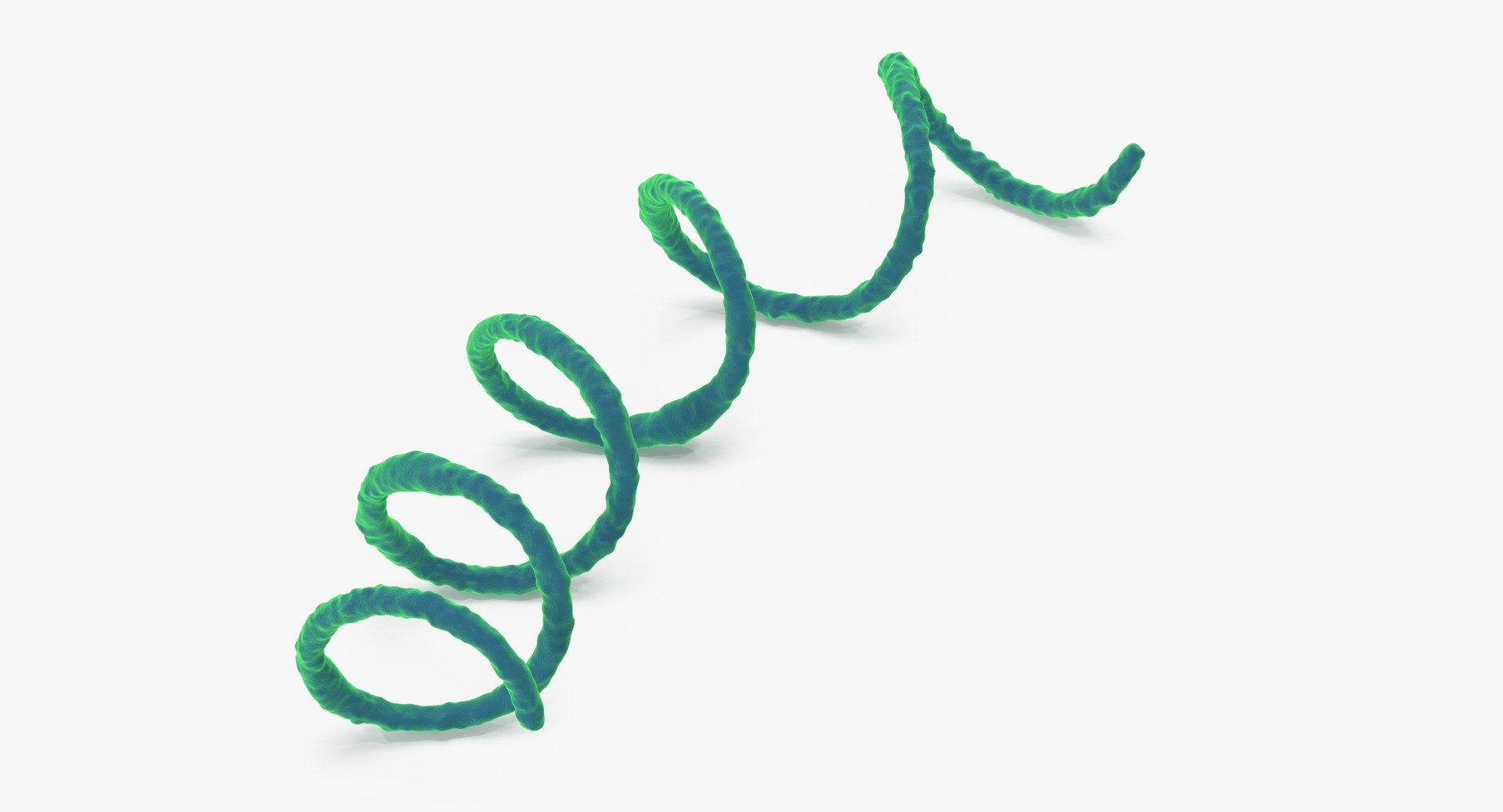 13 viruses virus 3d model https://p.turbosquid.com/ts-thumb/nY/LqPCRs/cHZYmmgB/syphilis_001_thumbnail_0006/jpg/1473431093/1920x1080/fit_q87/bfe8a1bf125318b779afe98036d6b6351d964c77/syphilis_001_thumbnail_0006.jpg