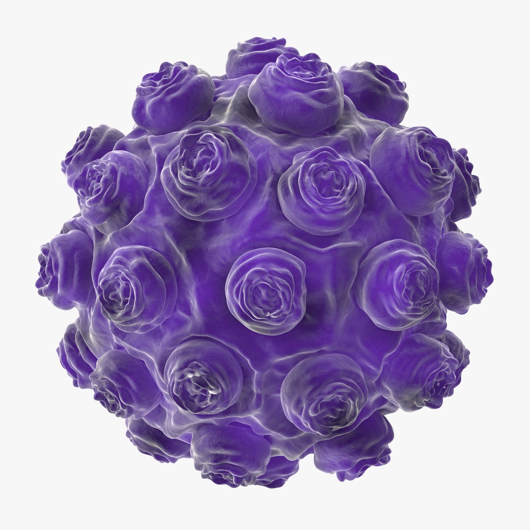13 viruses virus 3d model https://p.turbosquid.com/ts-thumb/nY/LqPCRs/cnbGLoul/measles_001_thumbnail_square0000/jpg/1473432709/1920x1080/fit_q87/71b3504a26c7619f28925f1ac038f52f87b03825/measles_001_thumbnail_square0000.jpg