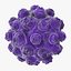 13 virus