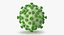 13 virus