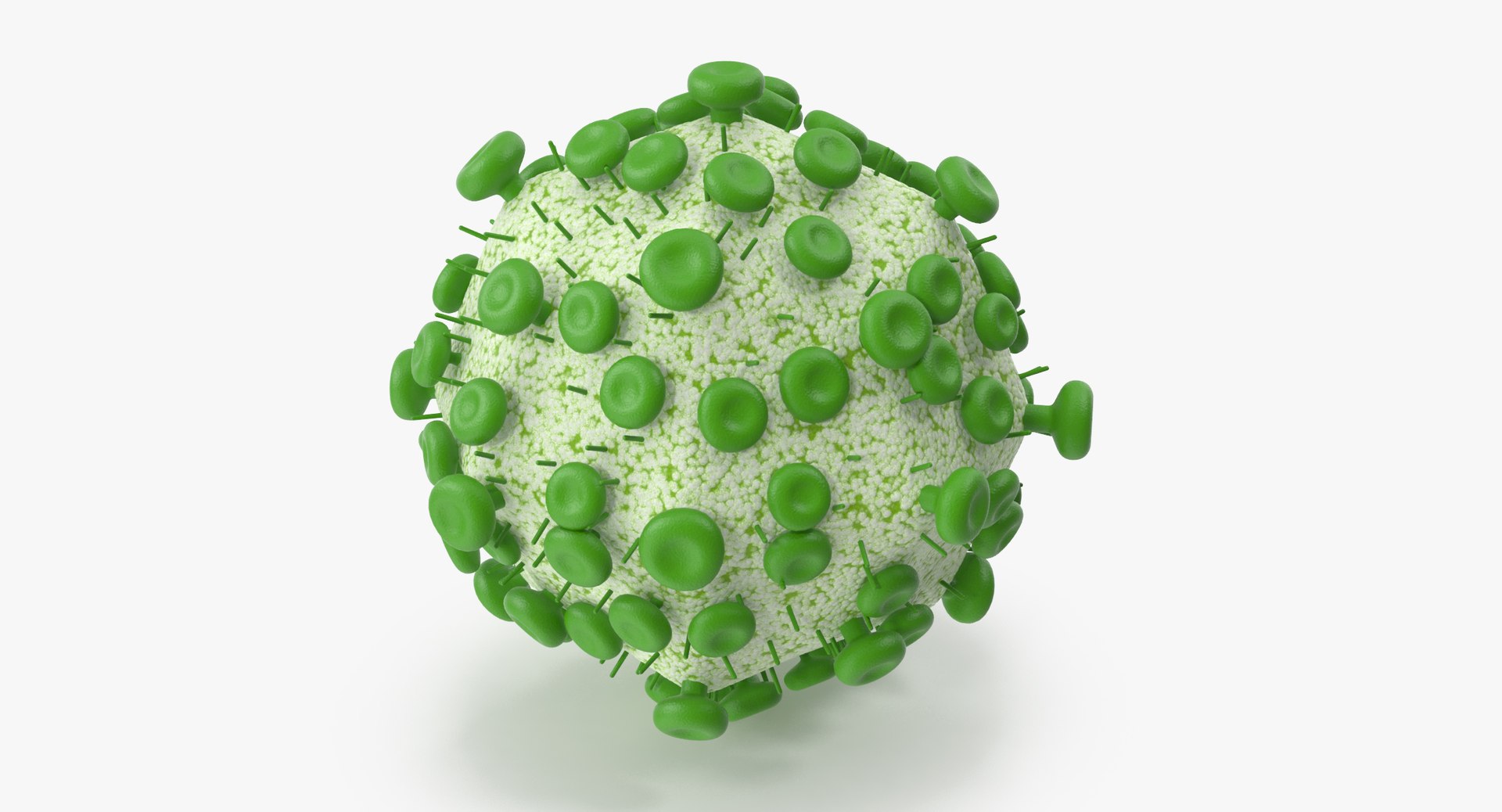 13 viruses virus 3d model https://p.turbosquid.com/ts-thumb/nY/LqPCRs/ez9OJlmz/hiv_cell_001_thumbnail_0004/jpg/1473435153/1920x1080/fit_q87/4bcb0d0f4cce024fa2a5d587e537140aca3406d7/hiv_cell_001_thumbnail_0004.jpg