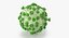 13 virus