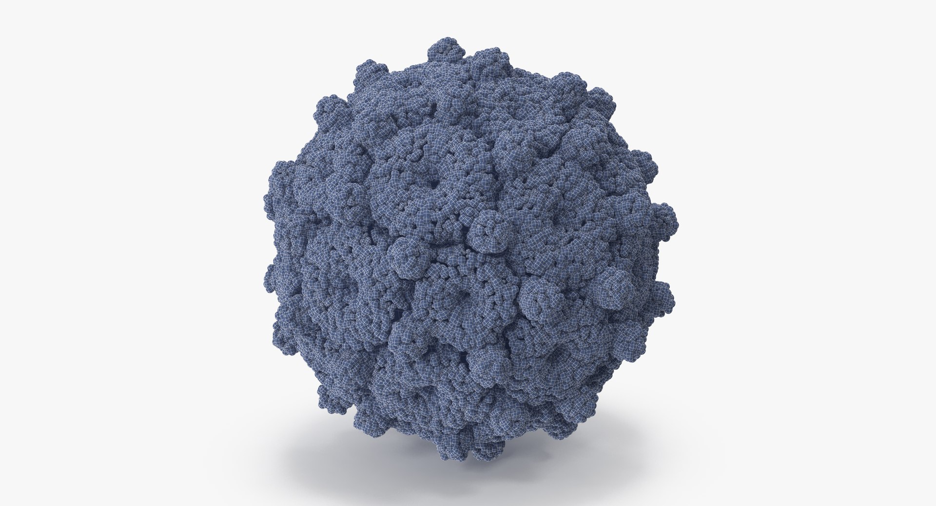 13 viruses virus 3d model https://p.turbosquid.com/ts-thumb/nY/LqPCRs/f9rgouQI/hepatitis_b_001_wireframe_0005/jpg/1473428914/1920x1080/fit_q87/86678925a4bf18ea2d33b2a5298b85b8af7f9eec/hepatitis_b_001_wireframe_0005.jpg