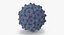 13 virus