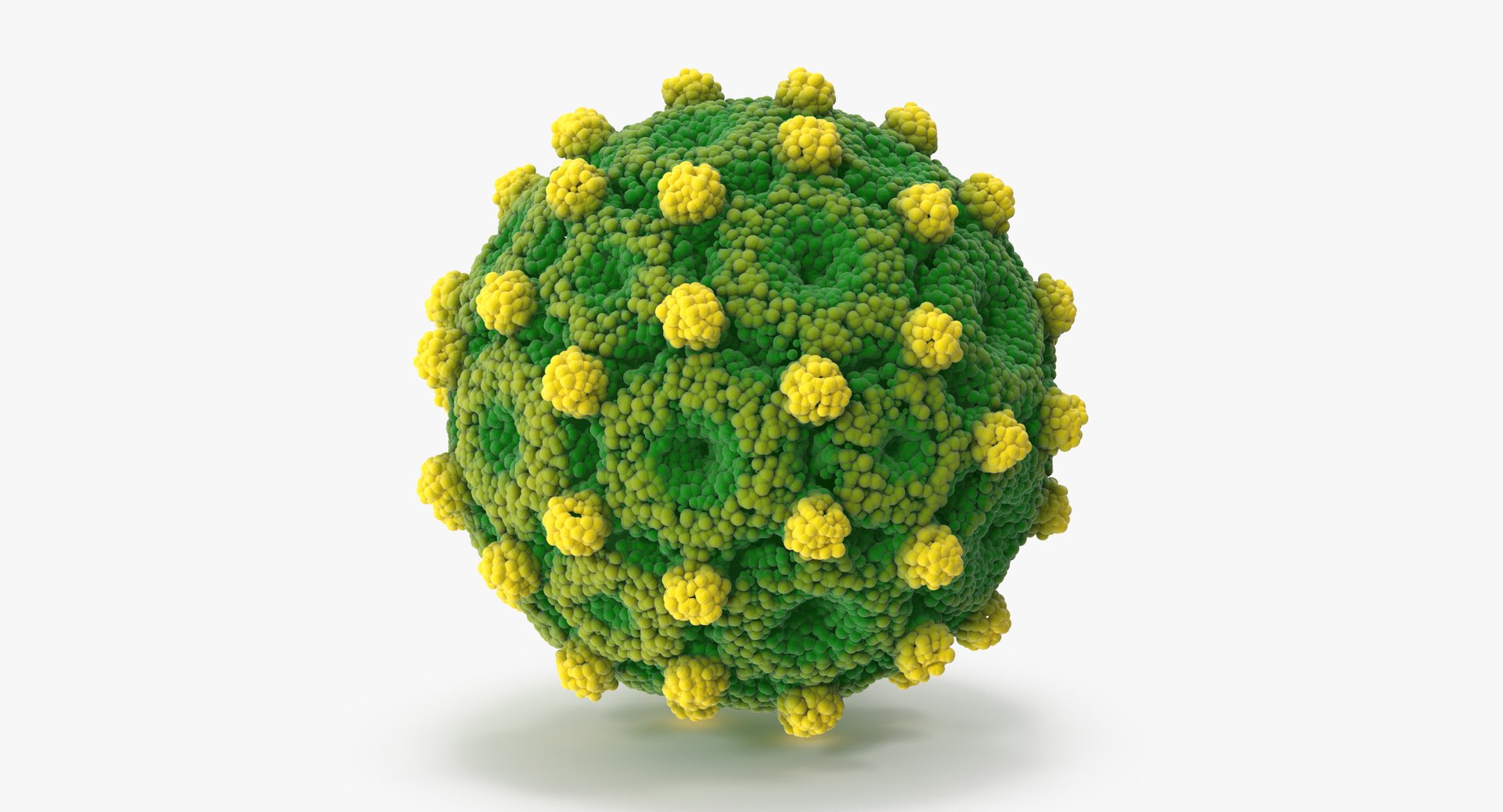 13 viruses virus 3d model https://p.turbosquid.com/ts-thumb/nY/LqPCRs/fHtYHIBd/hepatitis_b_001_thumbnail_0001/jpg/1473428914/1920x1080/fit_q87/e4966a52b1bf609a0ed6ea335ba856909ac43d5d/hepatitis_b_001_thumbnail_0001.jpg