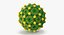 13 virus