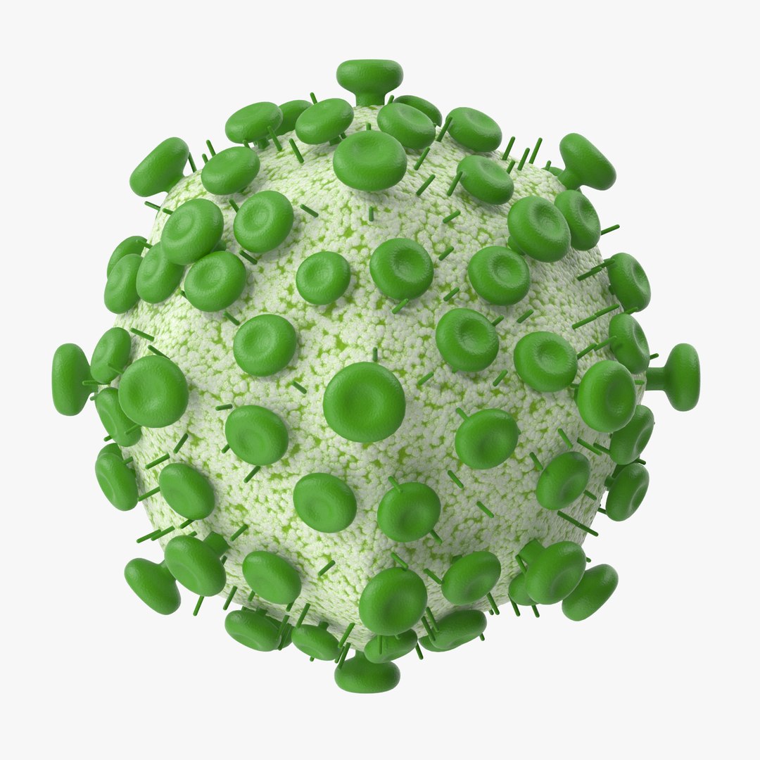 13 viruses virus 3d model https://p.turbosquid.com/ts-thumb/nY/LqPCRs/fXzBvVvF/hiv_cell_001_thumbnail_square0000/jpg/1473435153/1920x1080/fit_q87/a8b9797274b25c034ff00badb2f26934e1c9def9/hiv_cell_001_thumbnail_square0000.jpg