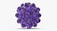 13 virus