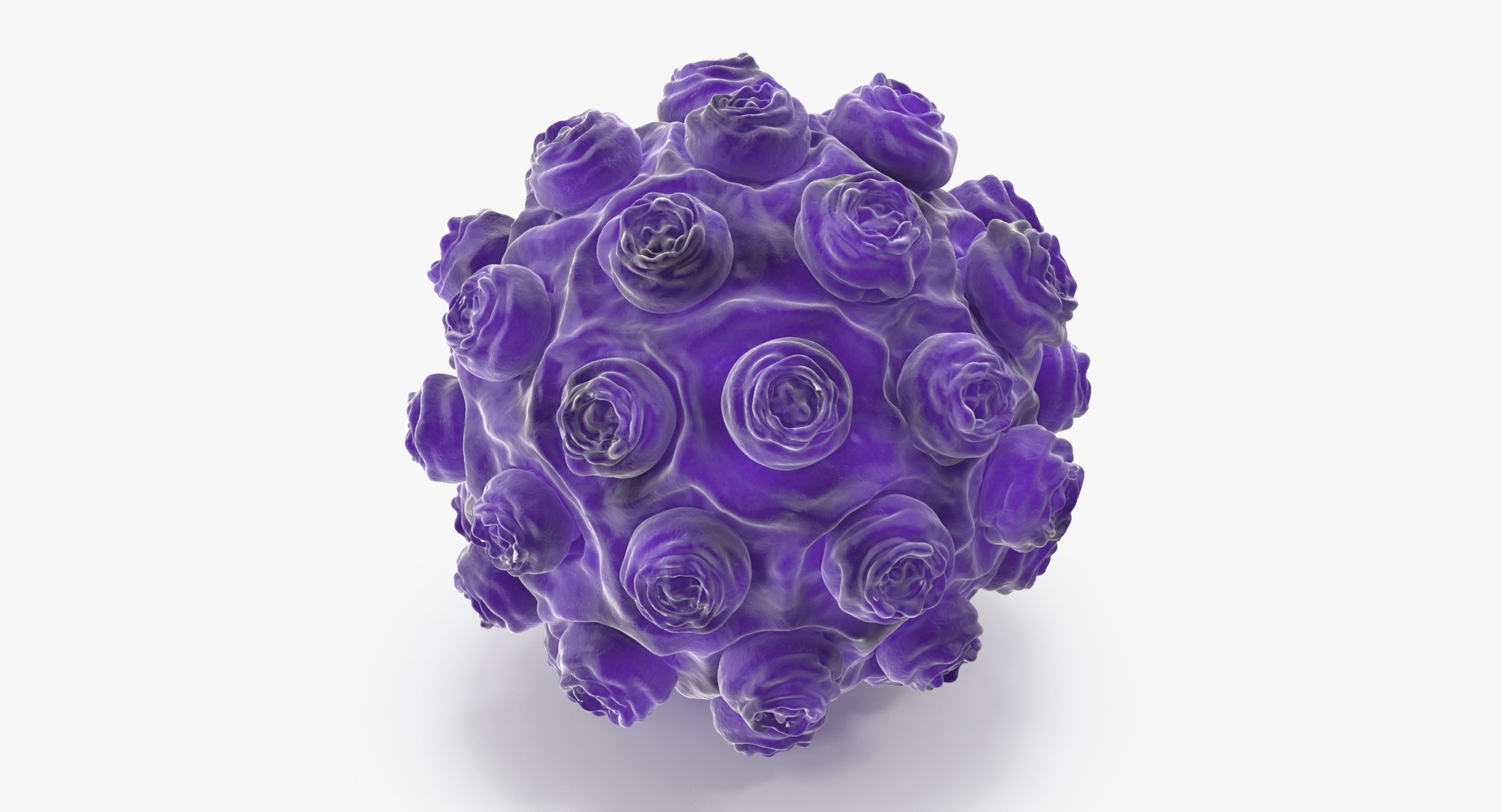 13 viruses virus 3d model https://p.turbosquid.com/ts-thumb/nY/LqPCRs/gcMWaa3E/measles_001_thumbnail_0004/jpg/1473432709/1920x1080/fit_q87/b326a1251837ccb825fa352103383311f099f602/measles_001_thumbnail_0004.jpg